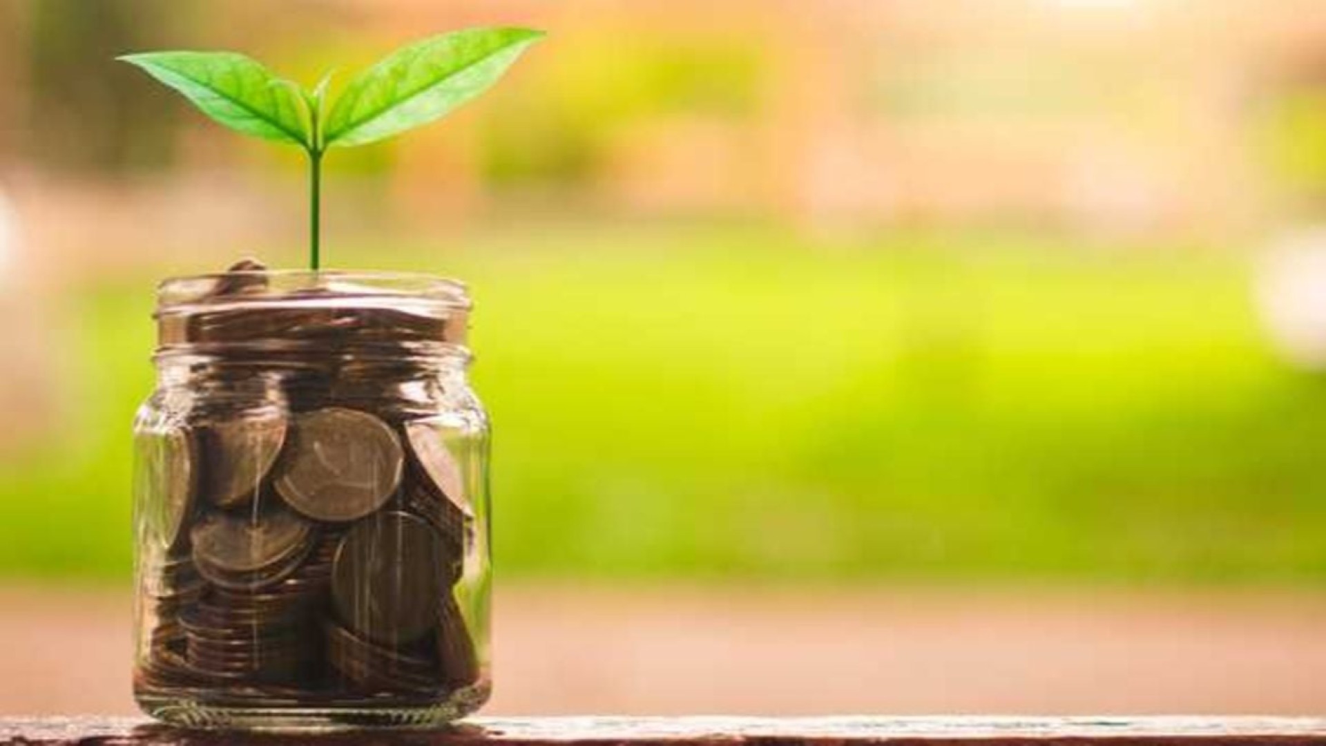 Integrating employee share ownership scheme in SMEs